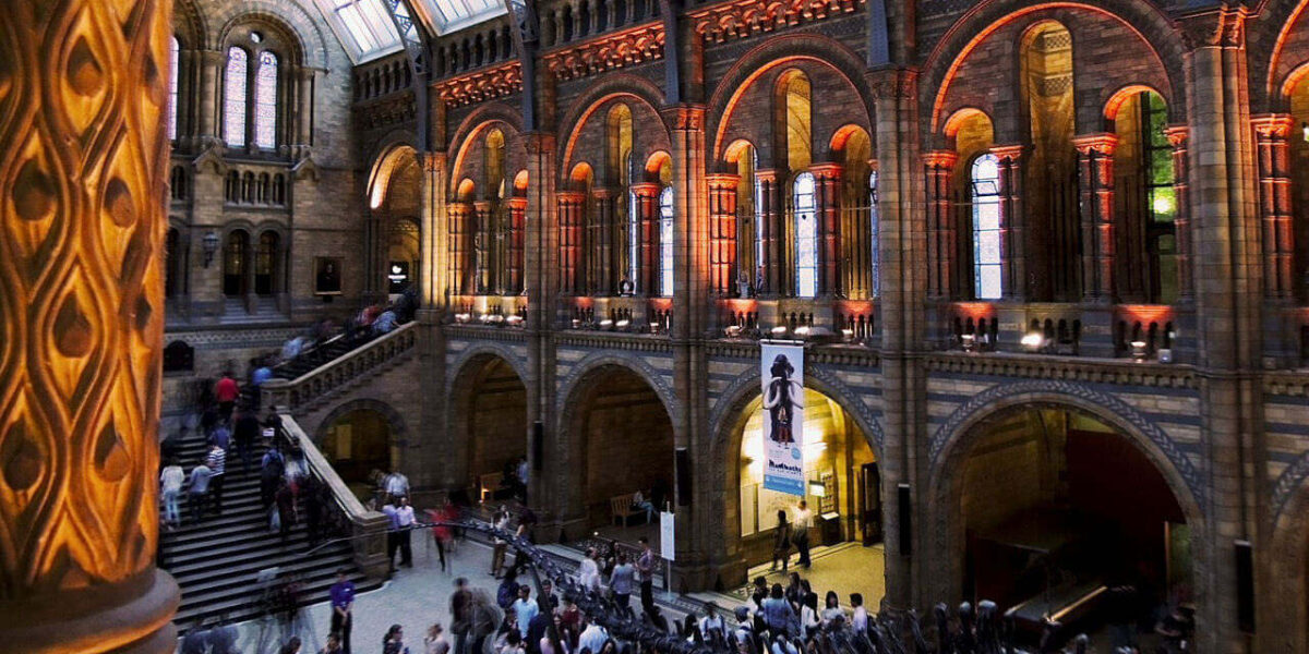A photo showing the inside of the Natural history museum in London, where Vanguard has six self storage branches.